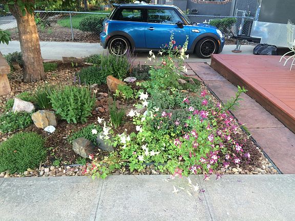 Xeriscape front garden