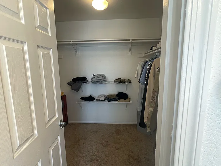 1243 Maple Pines Ave — Photo 8