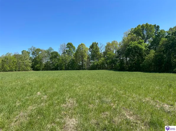 Post Tousey Rd, Caneyville, KY 42721
