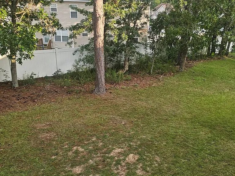 44 Ginkgo Ct — Photo 38