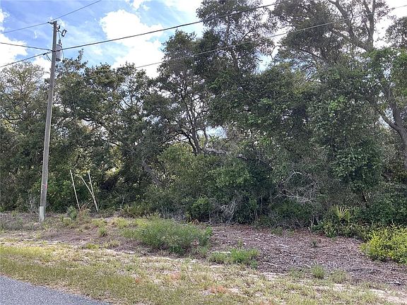 4th image of Olive Rd #7