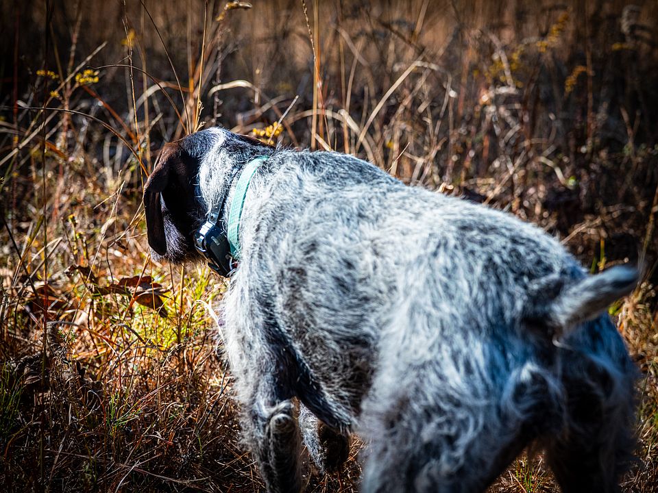 28th image of this home