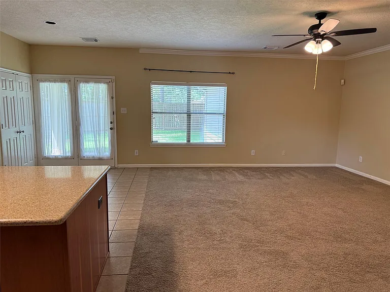 21307 Springbrook Hollow Ct — Photo 10
