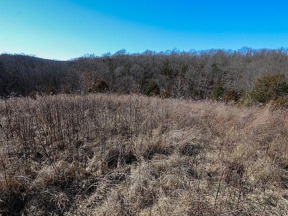 Old field growth along a small secondary point looking down into the valley to the south