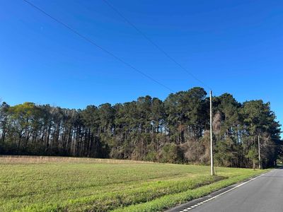 TBD Bucksville Dr., Conway, SC, 29527