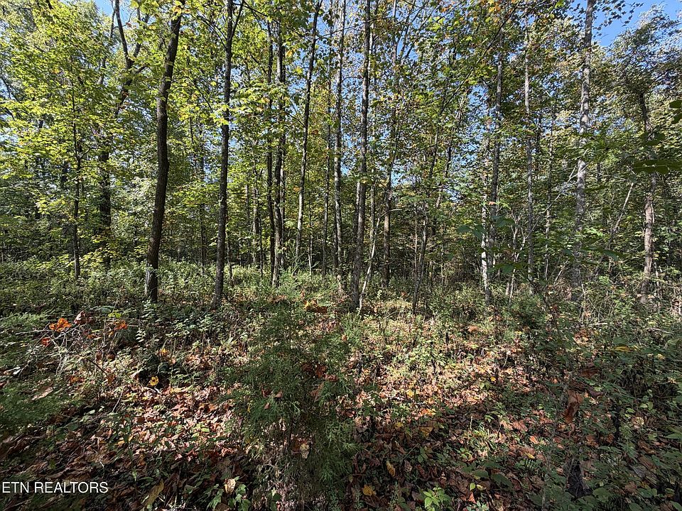 1st image of 2235 Moore Knob Rd
