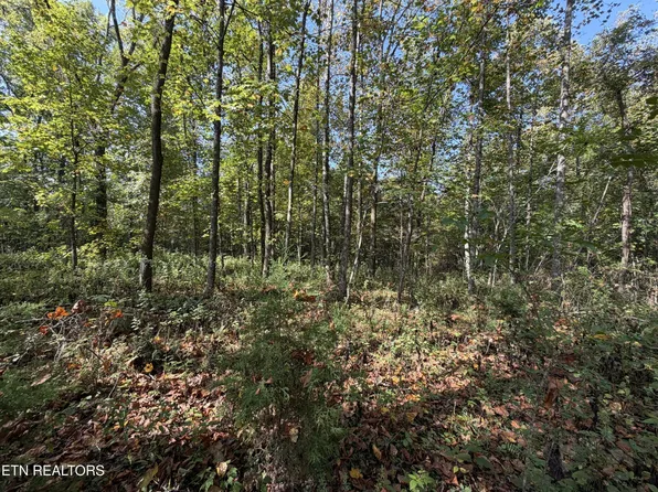 2235 Moore Knob Rd, Allardt, TN 38504