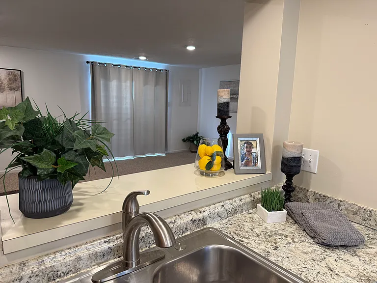 Kitchen to Living Room