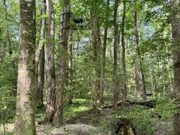 5493 Walker Rd, Jonesboro, LA 71251