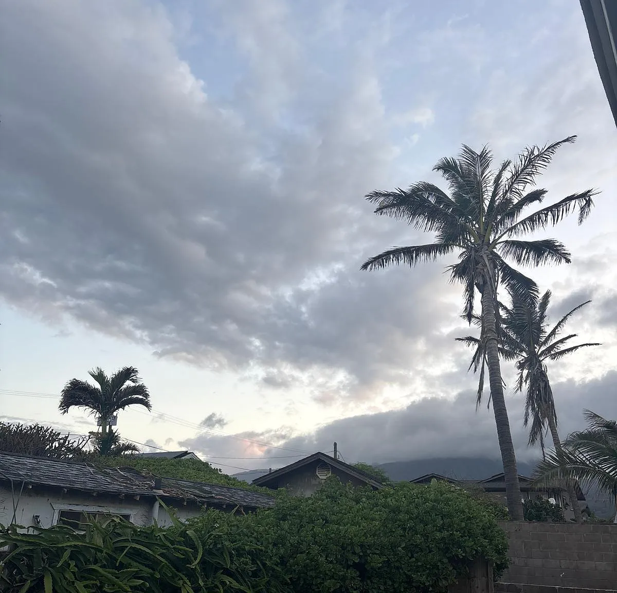 Linekona Pl, Wailuku — Photo 1