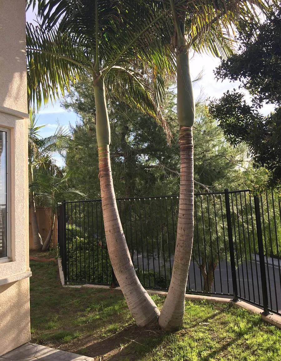 208 Inez Way — Photo 2