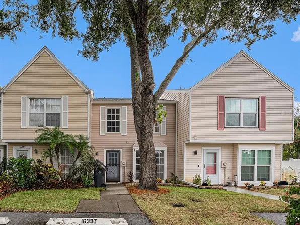 16337 RAMBLING VINE DRIVE W, TAMPA, FL 33624