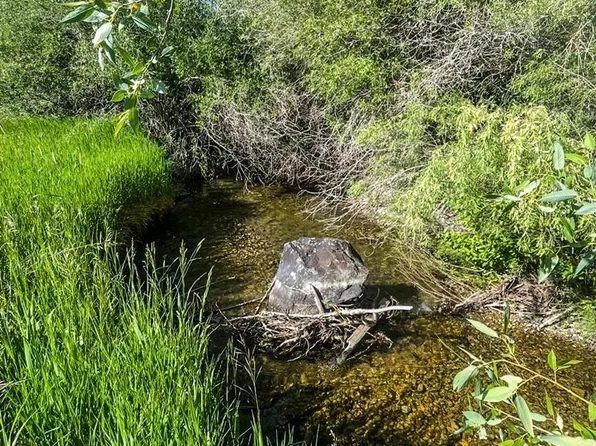 Tbd Trumpeter Rd, Swan Valley, ID 83449