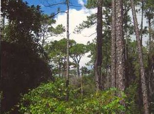 LOT 20 Highway 393, Pt Washington, FL 32459