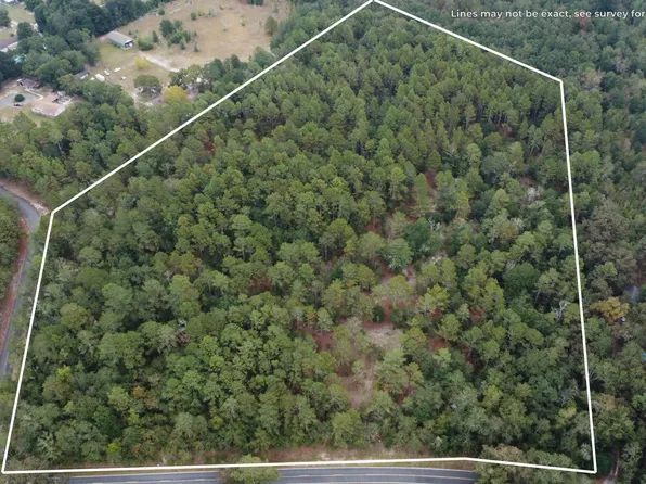 0 Holiness Church Rd, Wagener, SC 29164