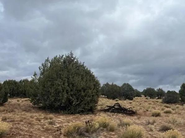54489 N Calle Contenta, Seligman, AZ 86337