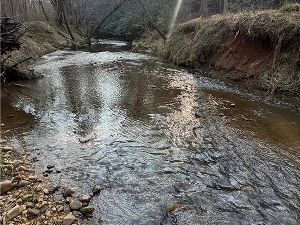 Billings Hill Church Rd, Traphill, NC 28685