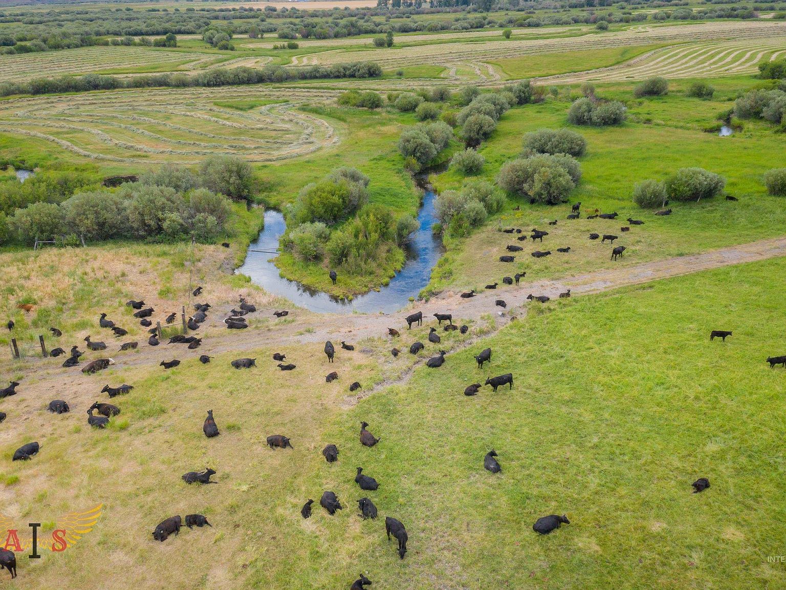 4554 Cherry Creek Rd, Moore, ID 83255 MLS 98861443 Zillow