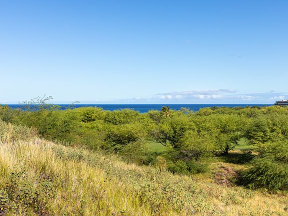 3rd image of 62-3765 Kaunaoa Nui Rd Lot 11