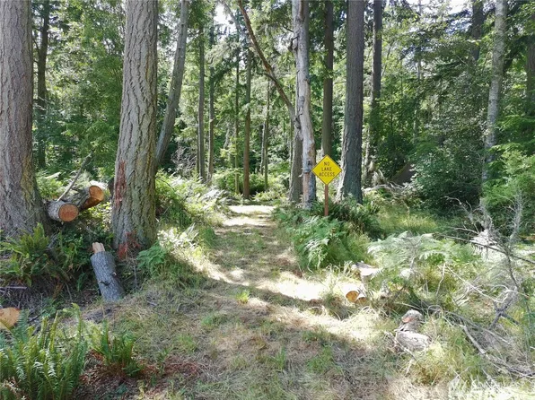 737 Twin View Drive, Greenbank, WA 98253