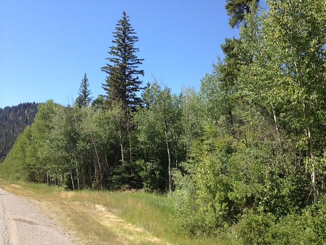 2nd image of Hwy 200 West Nhn