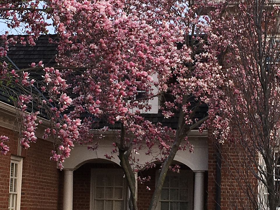 1st image of 8596 Dunsinane Dr