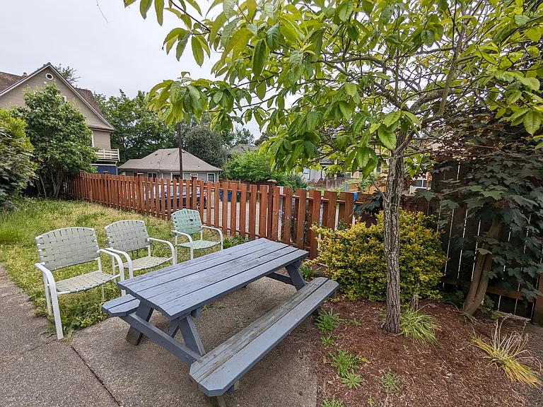 back yard