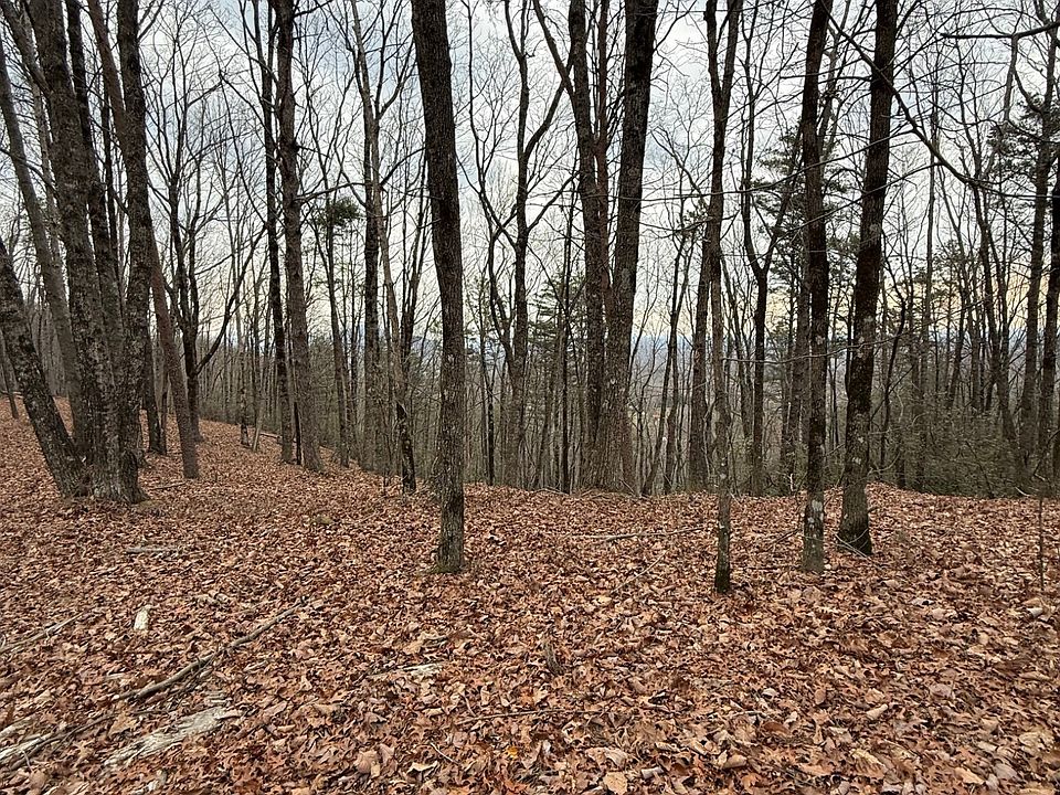 1st image of 7 Westmoreland Rd