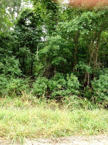 2nd image of 18 PtLOT Howards Landing Road LOT Pt18