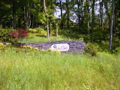 45 Harbor Pointe Dr, Silver Pt, TN, 38582