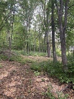 2nd image of 630 Hicks Rd