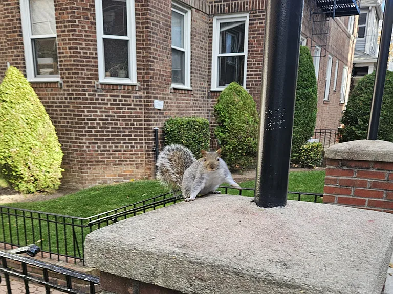 1 74th St #1L — Photo 25