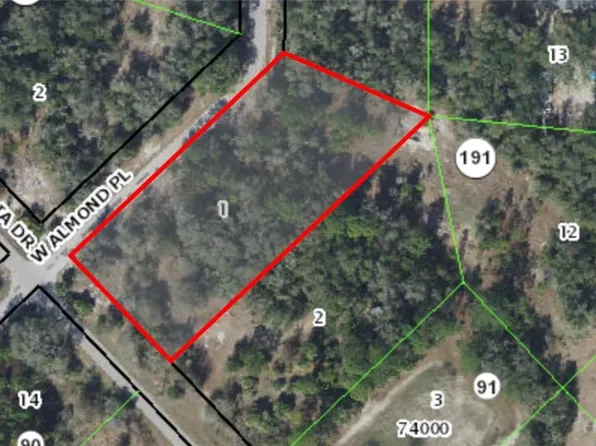 9599 N Cacalia Dr, Crystal River, FL 34428