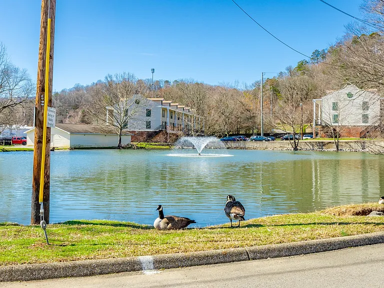 900 Mountain Creek Rd #J131 — Photo 26
