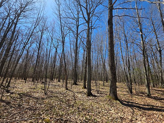 3rd image of LOT 31 Mistwood Dr