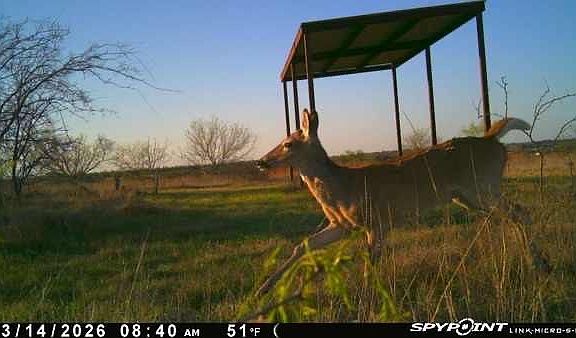 3rd image of 343 County Rd