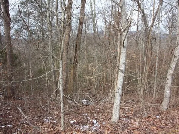 LOT 32/33 Stevia Way, Cosby, TN 37722