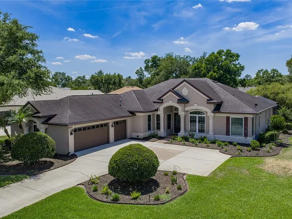 6105 Audubon Manor Blvd, Lithia, FL 33547