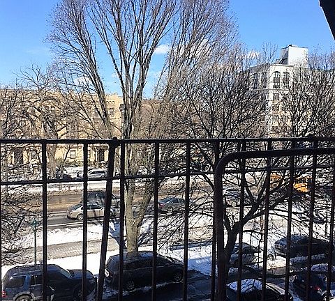 5th image of 302 Eastern Pkwy APT 3A
