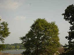 3rd image of 12145 Lake Vista Dr