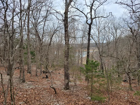 000 Lost Mine Road, Theodosia, MO 65761