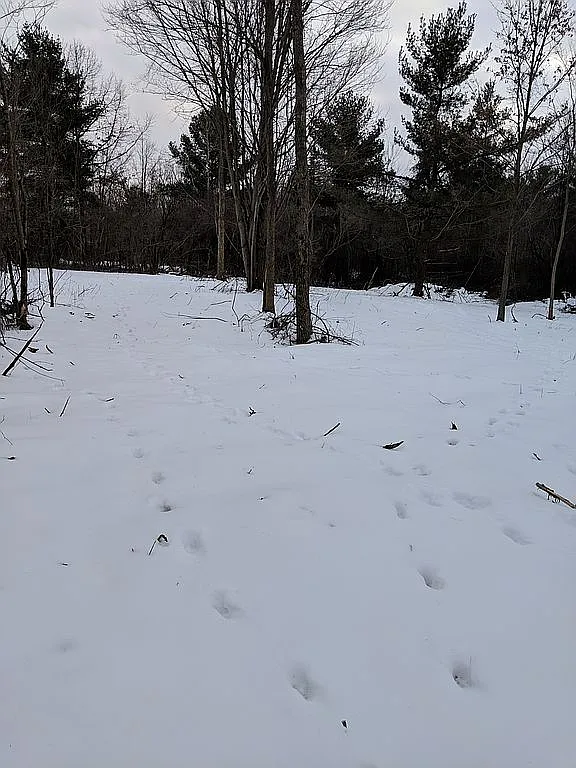 6701 Warren Rd photo 1