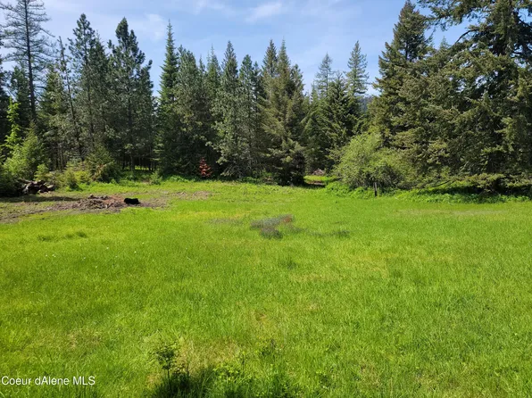 Nka Stott Rd, Harrison, ID 83833