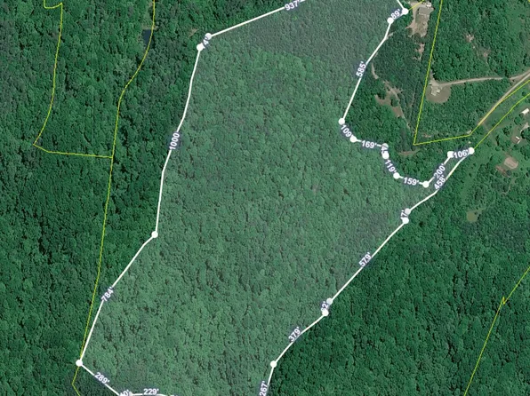 51 Acres Off Rocky Branch Rd, Rutledge, TN 37861