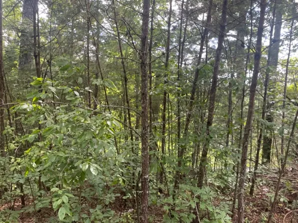 0 Crooked Creek Rd, Young Harris, GA 30582