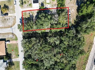Donnelly St LOT 901, Eustis, FL 32726