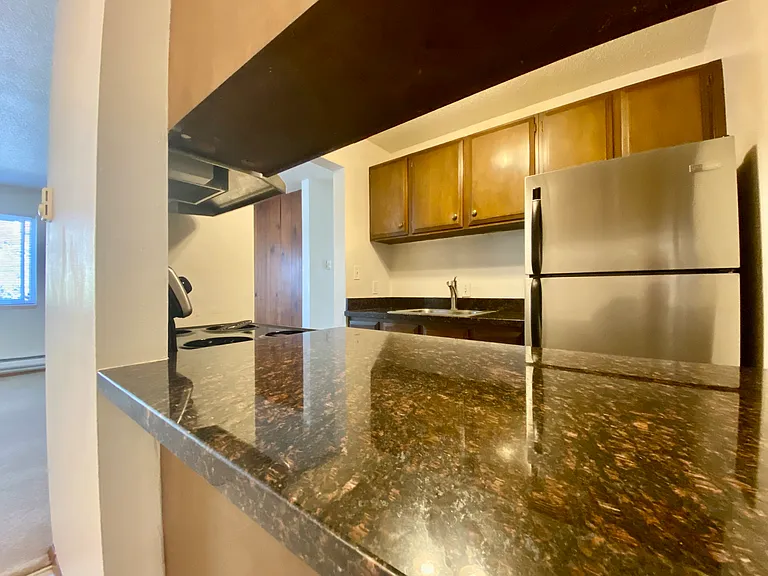 1221 E Olive St #202 — Photo 11