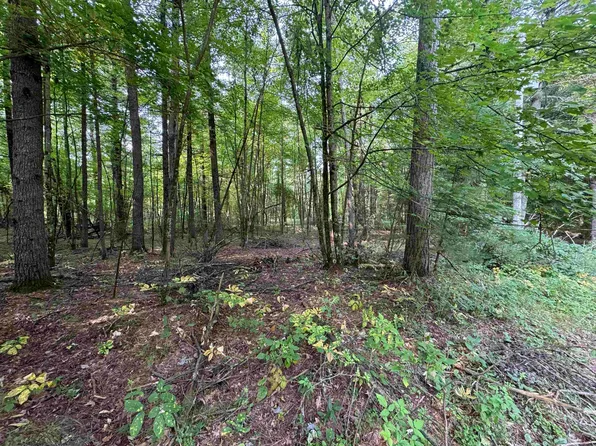 W2245 Otter Ponds Rd, Keshena, WI 54135