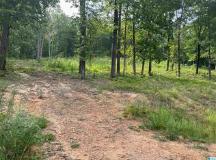 495 Anderson Mountain Dr #24, Odenville, AL 35120