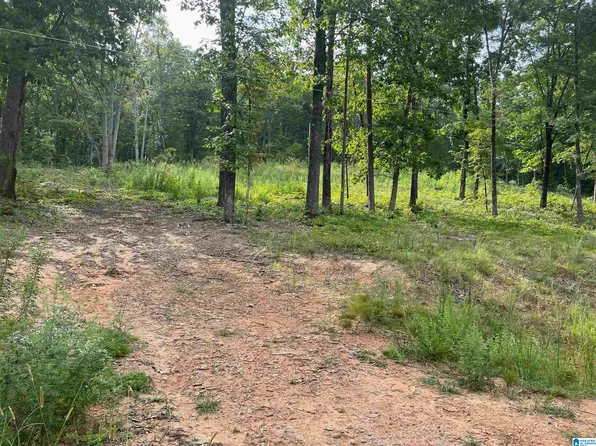 495 Anderson Mountain Dr #24, Odenville, AL 35120